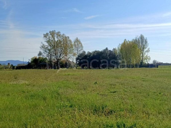 casale in vendita a Cascina in zona Visignano