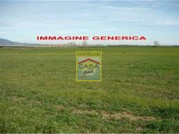 casale in vendita a Cascina in zona Casciavola