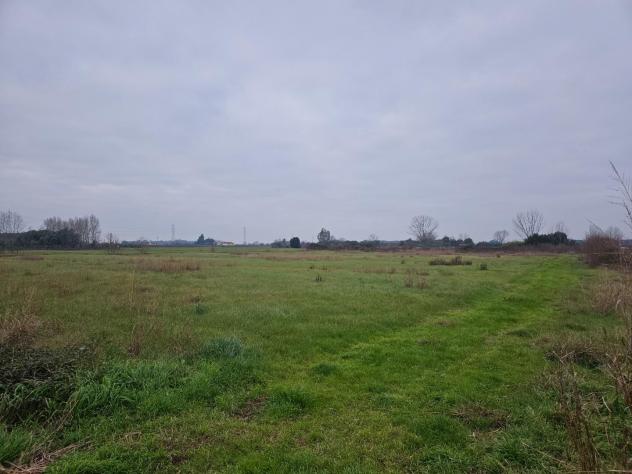 casale in vendita a Cascina in zona Visignano