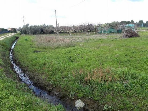 casale in vendita a Cascina in zona San Frediano a Settimo