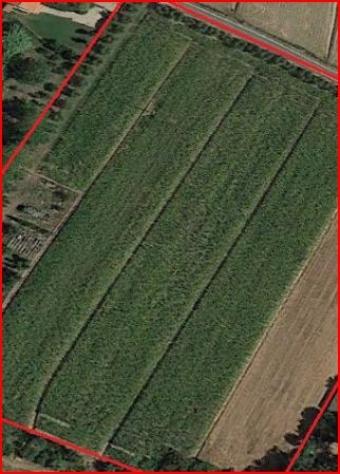 casale in vendita a Cascina