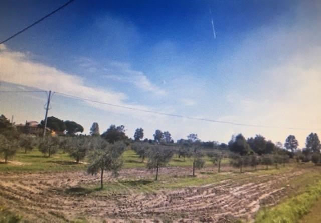 casale in vendita a Cascina