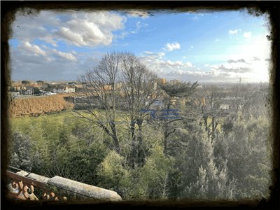 casa indipendente in vendita a Cascina