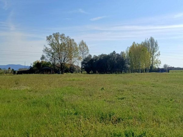 casale in vendita a Cascina in zona Visignano