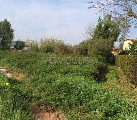 casale in vendita a Cascina in zona Musigliano