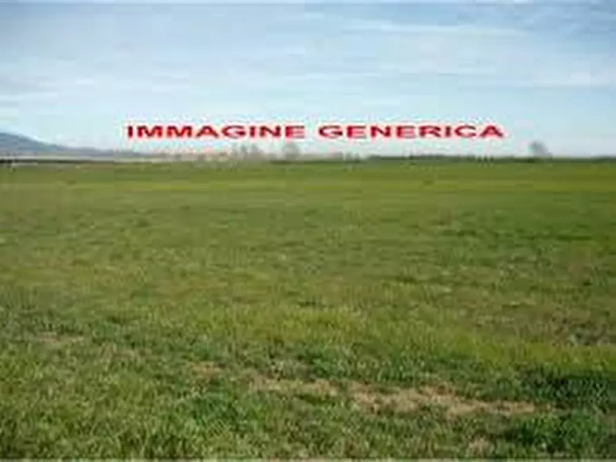 casale in vendita a Cascina in zona Casciavola