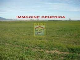 casale in vendita a Cascina in zona Navacchio