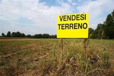 casale in vendita a Cascina in zona Casciavola