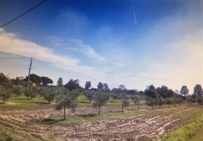 terreno agricolo in vendita a Cascina