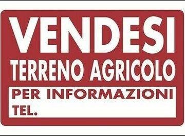 casale in vendita a Cascina in zona Navacchio