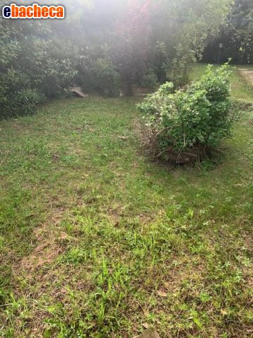 appartamento in vendita a Cascina