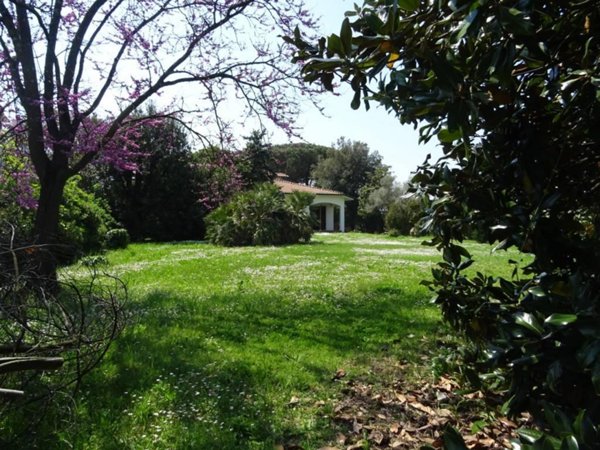 casa indipendente in vendita a Cascina in zona Navacchio