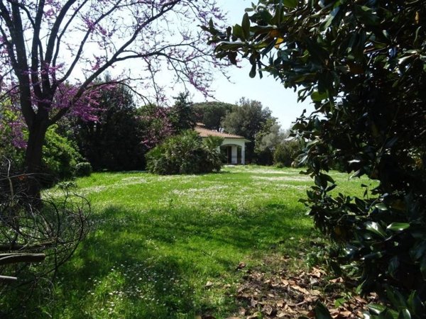 casa indipendente in vendita a Cascina in zona Navacchio
