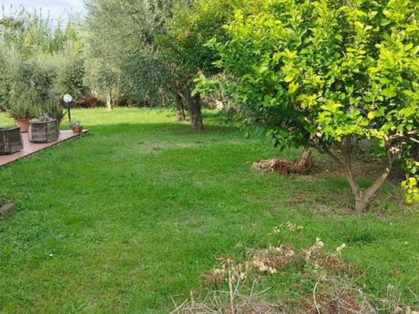 casa indipendente in vendita a Cascina in zona Visignano