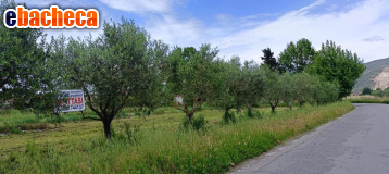 casale in vendita a Cascina in zona San Giorgio