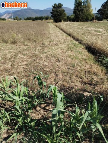 casale in vendita a Cascina in zona Latignano