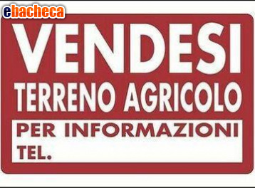 casale in vendita a Cascina in zona Navacchio