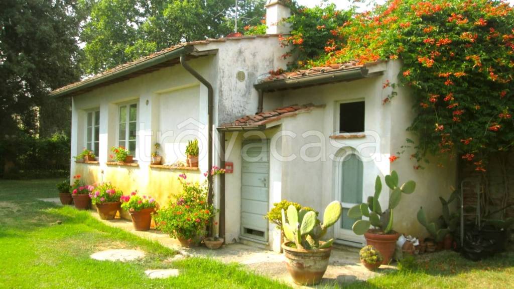 casa indipendente in vendita a Cascina in zona Navacchio