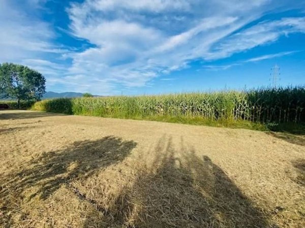 casale in vendita a Cascina in zona Titignano