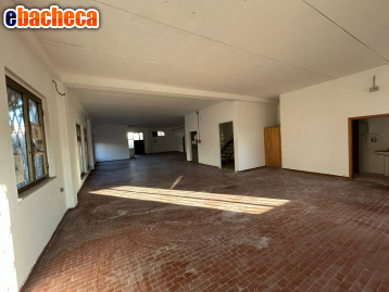 negozio in vendita a Cascina