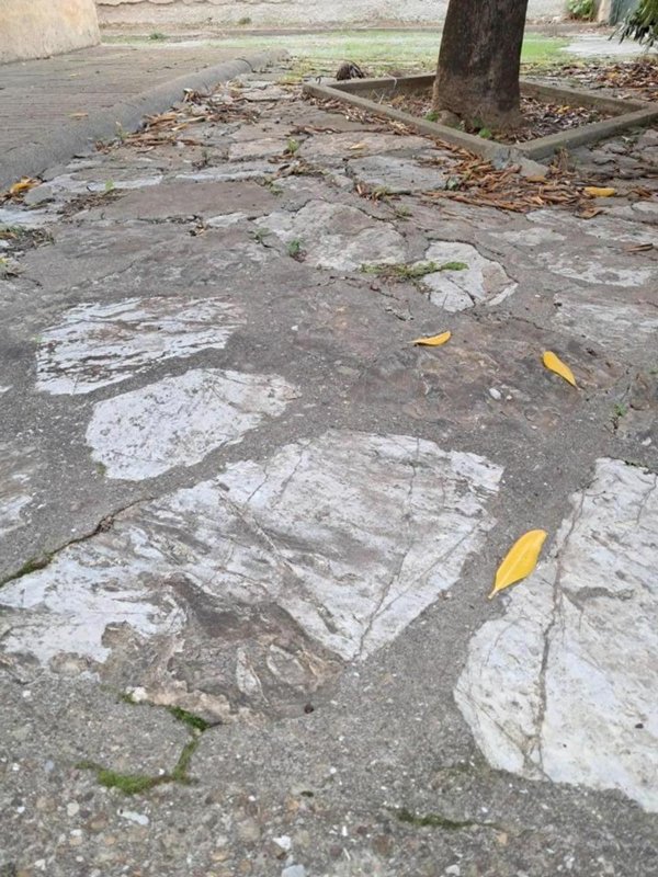 casa indipendente in vendita a Cascina