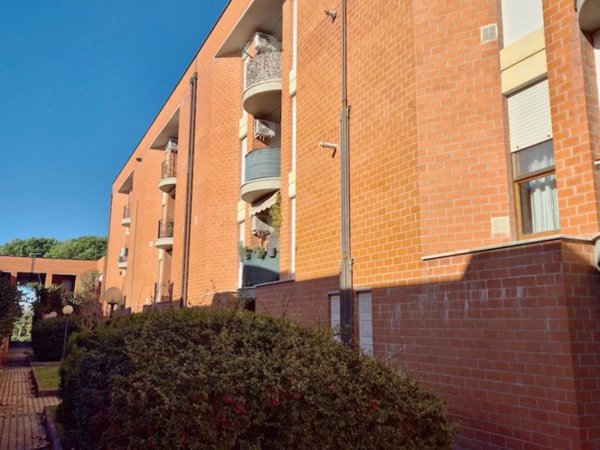 appartamento in vendita a Cascina in zona Navacchio