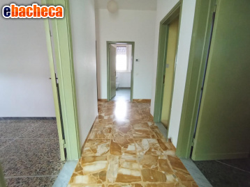 casa indipendente in vendita a Cascina in zona Casciavola