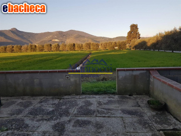 appartamento in vendita a Cascina in zona Marciana