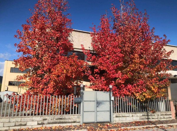 appartamento in vendita a Cascina
