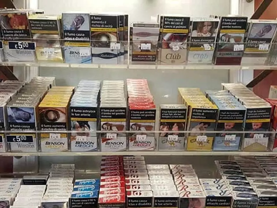 immagine annuncio 0 di 1