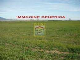 casale in vendita a Cascina in zona Casciavola