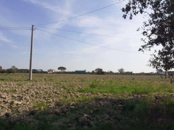 casale in vendita a Cascina in zona San Frediano a Settimo