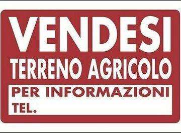 casale in vendita a Cascina in zona Navacchio