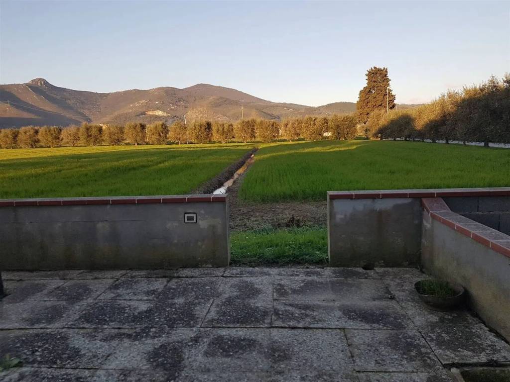casa indipendente in vendita a Cascina in zona Marciana