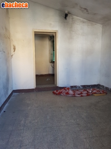 casa indipendente in vendita a Cascina in zona Casciavola