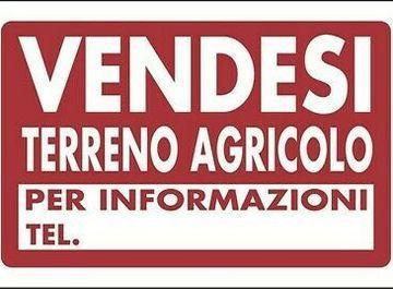 casale in vendita a Cascina in zona Navacchio