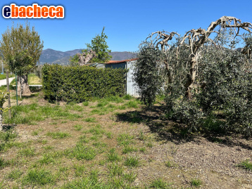 casale in vendita a Cascina