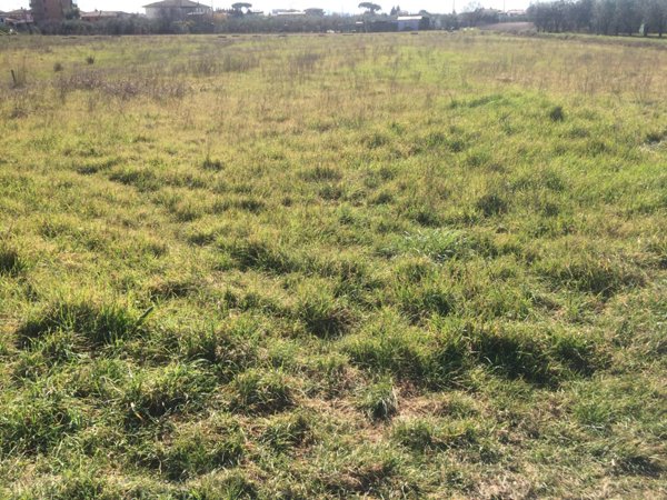 casale in vendita a Cascina in zona San Lorenzo alle Corti