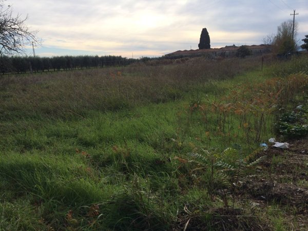 casale in vendita a Cascina in zona Navacchio