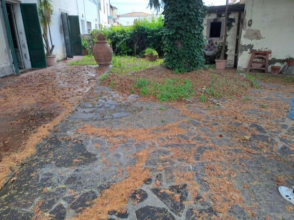 casale in vendita a Cascina in zona San Lorenzo a Pagnatico