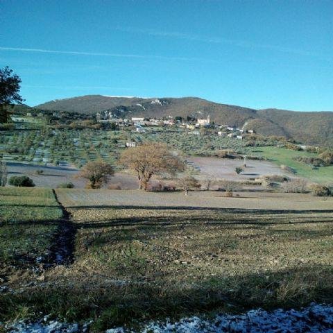 casa indipendente in vendita a Cascina