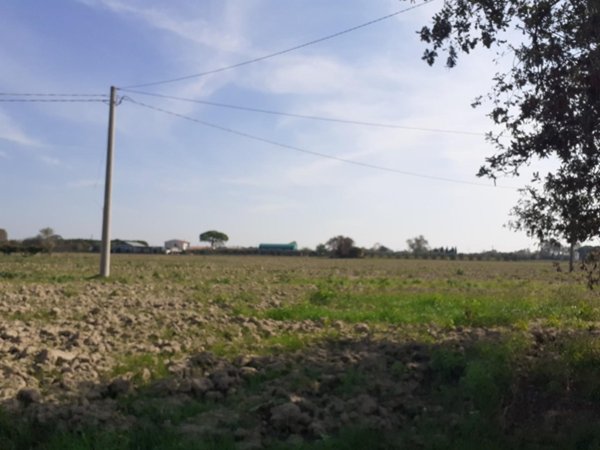 casale in vendita a Cascina in zona San Giorgio