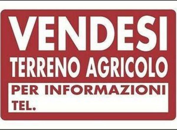 casale in vendita a Cascina in zona Visignano