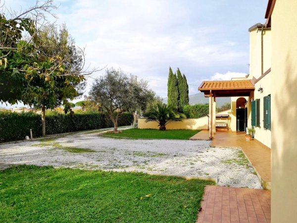 casa indipendente in vendita a Cascina in zona Musigliano