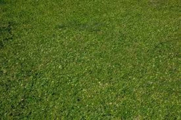 casale in vendita a Cascina in zona San Giorgio