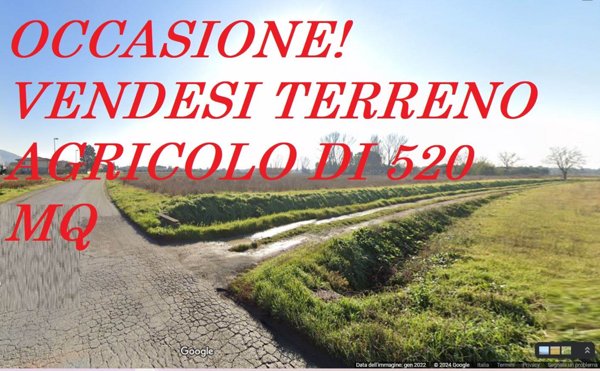 terreno agricolo in vendita a Cascina in zona San Lorenzo alle Corti