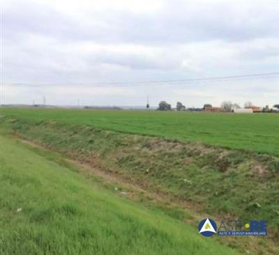 casale in vendita a Cascina