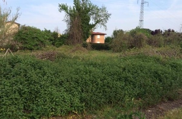 casale in vendita a Cascina in zona Ripoli
