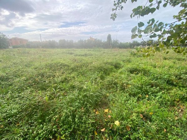 terreno agricolo in vendita a Cascina