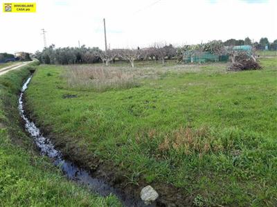 terreno agricolo in vendita a Cascina in zona San Frediano a Settimo
